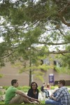 Students Sitting Outside on Campus