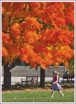 Fall Colors on Campus by John Cross