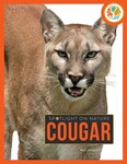Cougar by Nell Musolf