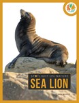 Sea Lion by Nell Musolf