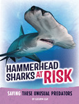 Hammerhead Sharks at Risk: Saving these Unusual Predators by Kathryn Clay