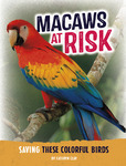 Macaws at Risk: Saving these Colorful Birds by Kathryn Clay