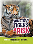 Sumatran Tigers at Risk: Saving these Fierce Big Cats by Kathryn Clay